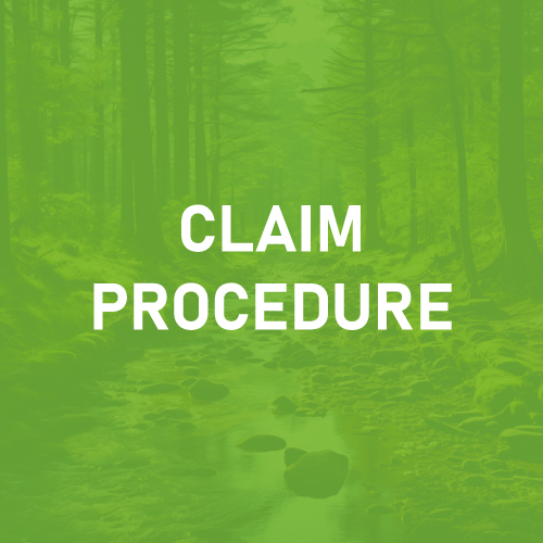 claim procedure icon 2